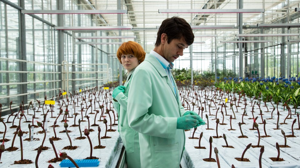 Emily Beecham and Ben Whishaw in Little Joe, dir. Jessica Hausner, 2019